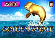 GOLDEN WHALE